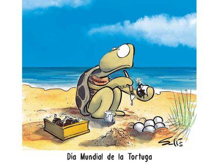 Cartoon Solís 23 de Mayo del 2026.