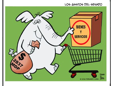 Cartoon Llera 16 de julio del 2026