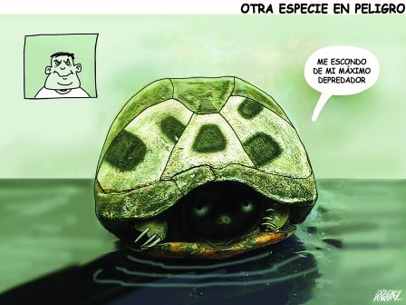 Cartoon Gregorio 17 de agosto del 2026
