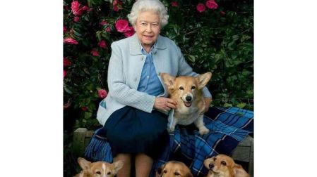 ¿Qué pasó con los perros corgi de la Reina Isabel II?