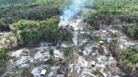 La tala de especies maderables y los incendios preocupan a los especialistas, que temen por las especies animales y vegetales que habitan la zona.