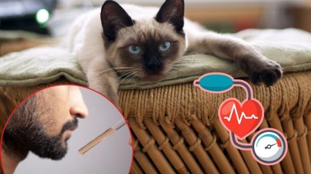 ¿Es seguro usar minoxidil cerca de mascotas?
