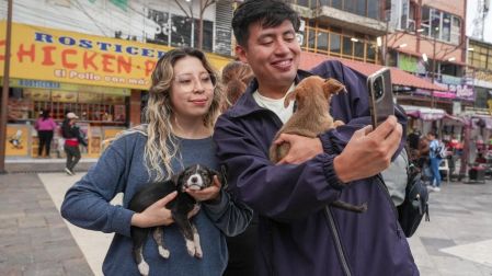 Con el apoyo del gobierno municipal, se ha procurado prevenir el abandono y el cuidado de los seres sintientes