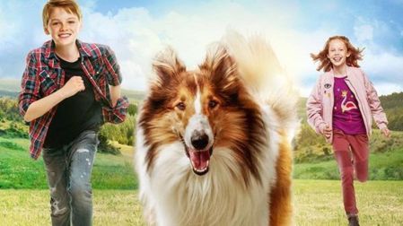 Películas protagonizadas por perritos que no te puedes perder