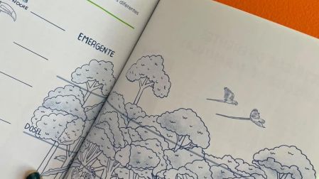 Conoce algunas especies mexicanas en peligro, ¡y cómo podemos ayudarlas!: entrevista autoras