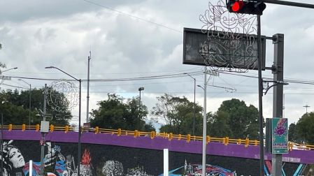 Uno de los puntos donde podría ser reinstalado se ubica debajo del puente de Acoxpa
