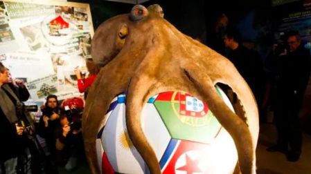 ¿Qué pasó con Paul, el pulpo que predijo a los ganadores del Mundial de Sudáfrica 2010?