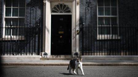 Larry the Cat walks in front of 10 Downing Street in central London on July 20, 2026, before Britain's outgoing prime minister Keir Starmer makes a statement. Henry Nicholls / AFP