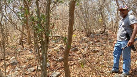 Arqueólogos del INAH Guerrero realizaron una inspección en el recientemente hallado sitio de Camutla.