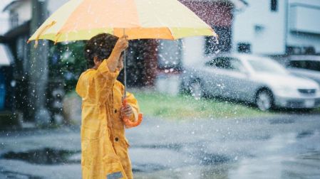 Dar mantenimiento a tu paraguas ayuda a prolongar su vida útil en temporada de lluvias.