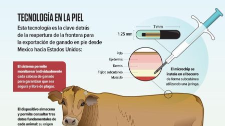 El microchip