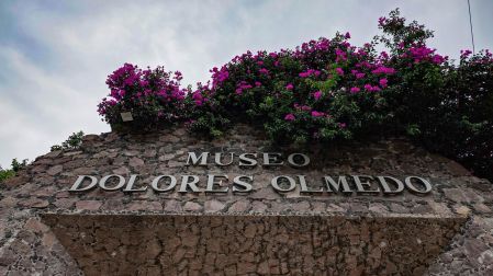 El Museo Dolores Olmedo se ubica en La Noria, Xochimilco.