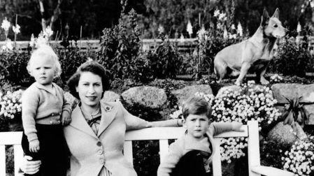 Muick y Sandy fueron los últimos perros que acompañaron a Isabel II y quedaron bajo el cuidado de su familia tras su muerte.