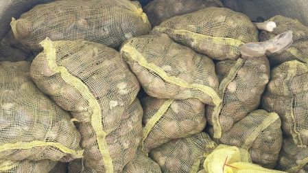 Elementos de Semar aseguraron tres toneladas de almeja chocolata en veda y pastillas con características de fentanilo durante un operativo en La Paz, BCS.
