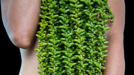 En esta muestra, Judith Romero, quien también es diseñadora y editora explora los vínculos entre el cuerpo femenino, las plantas y la diversidad de la vida.