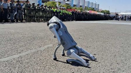 Perro robot