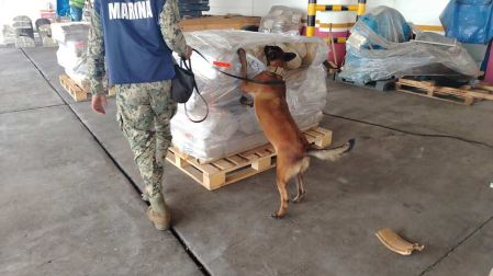 bINOMIO CANINO DETECTA DROGA EN vERACRUZ. (RAÚL FLORES)