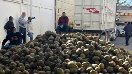 ¡Droga oculta en cocos! Así decomisó la FGR 300 kilos de fentanilo