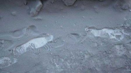 Cae nieve negra y tóxica en Rusia 