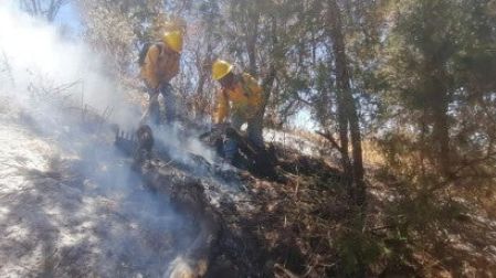 Incendio en Michoacán