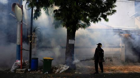 Las enfermedades transmitidas por mosquitos son comunes en zonas tropicales. (Reuters)