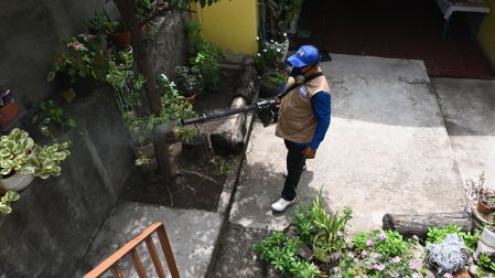 Las enfermedades transmitidas por mosquitos son comunes en zonas tropicales. (AFP)