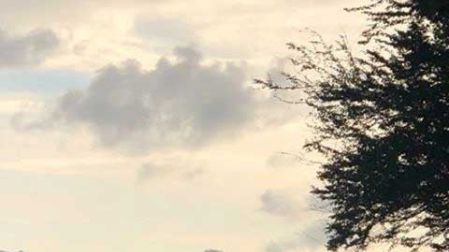 Choque de avioneta en Hawái deja 9 muertos