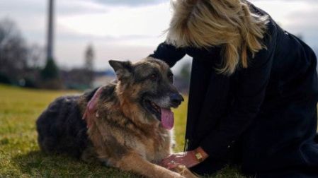Los Biden están de luto: muere su perro 'Champ', amigo por 13 años