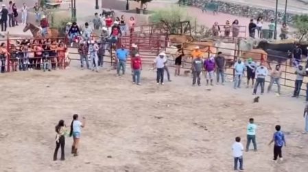 La carrera de gatos que exhibe maltrato en animal. (Captura)