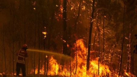 Controlan gran incendio forestal en Portugal