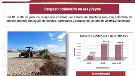 En julio se recolectaron casi 30 mil toneladas de sargazo en los municipios costeros de Quintana Roo. 
