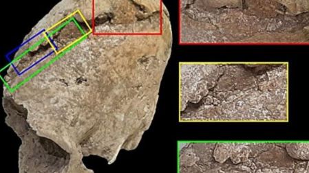 ¿Violencia o cultura? Científicos buscan origen de una deformación craneal en restos humanos. Foto: Zohreh Prehistoric Project 
