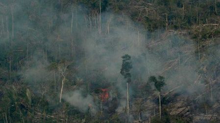 Bolsonaro modera tono y agradece ayuda para la Amazonia