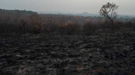 Bolsonaro modera tono y agradece ayuda para la Amazonia