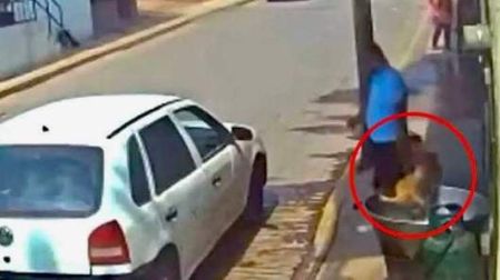 Hombre aventó a perrito en aceite.