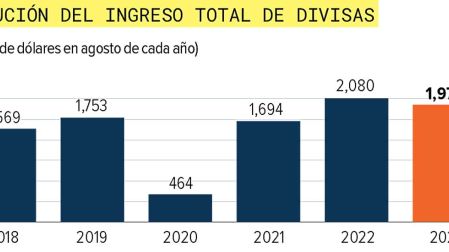 Gráfica de barras sobre la Evolución del ingreso total de divisas.