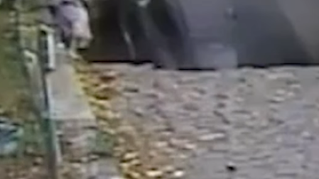 Madre e hijo cayendo en socavón, con automóvil/IG @dailymail