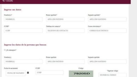 Aspecto del portal del Registro Nacional de Detenciones 