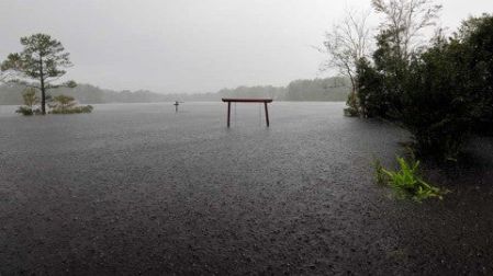Aumentan a 13 los muertos en Estados Unidos por 'Florence'