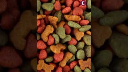 Autoridades y fabricantes emitieron una advertencia a los dueños de mascotas tras el retiro del mercado de un alimento para perros vendido por internet, luego de detectarse contaminación con fragmentos de plástico. Se recomienda no consumir el producto y seguir las indicaciones oficiales para evitar riesgos a la salud de los animales.
#Perros
#ComidaParaPerros
#ConsumoSeguro
#Mascotas
#RetiroDeProducto
#Advertencia