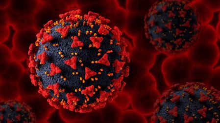 Las muestras de virus desaparecidos incluían cepas de influenza tipo A como H1N1 y H3N2.