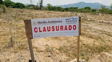 Profepa protección Tortuga Casquito de Vallarta