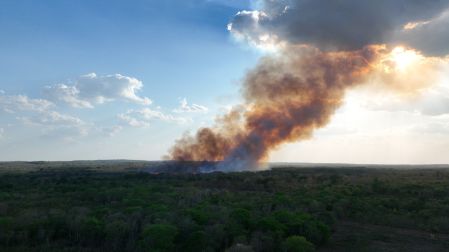 La Reserva de la Biosfera de Calakmul es la zona protegida más importante de México.