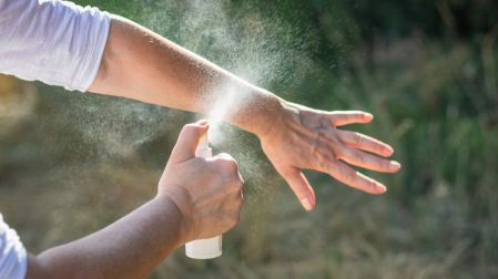 Cuándo un piquete de mosquito es peligroso