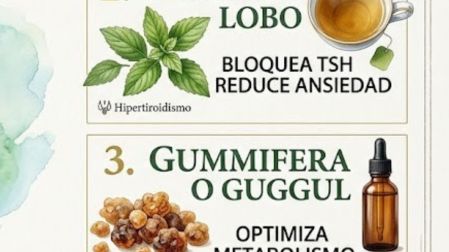 Plantas medicinales para la tiroides