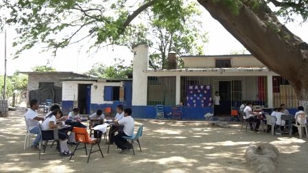 Escuela de Oaxaca toman clases bajo un árbol por calor de 45C