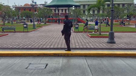 “La mayor mejora desde 2015 se registró en Tamaulipas, que logró una reducción de 43.2% en el impacto económico de la violencia. A pesar de haber sido históricamente un epicentro del crimen organizado y un punto de tránsito importante de drogas hacia Estados Unidos, la disminución en los niveles de delincuencia organizada en el estado impulsó su mejora en la paz general.