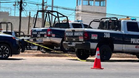 Motin cerezo ciudad obregon