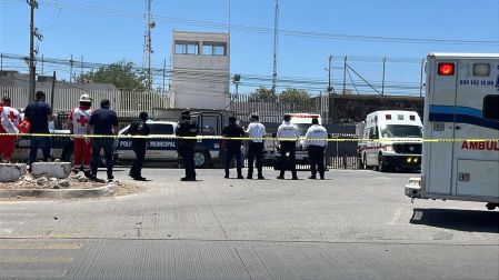 Motin cerezo ciudad obregon
