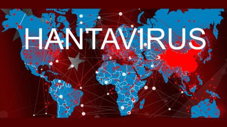 Hantavirus de los Andes: ¿Cómo se contagia y cómo identificar los síntomas?